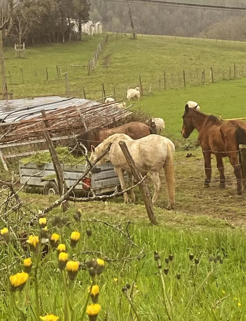 Country house Casa Rural Larre Aundi Renteria